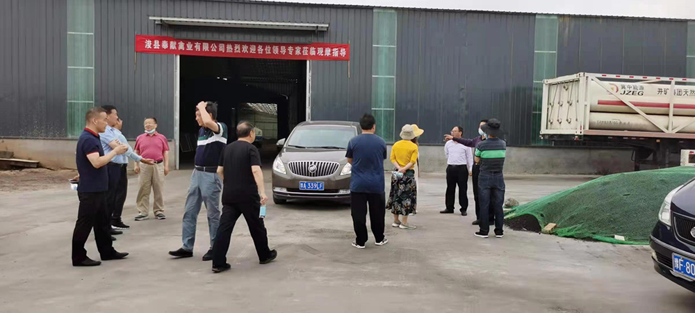 쵼Ӳ